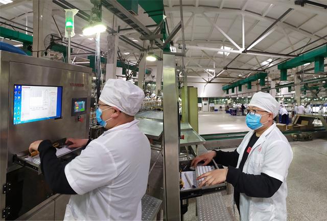 چین Hefei Luox Yougao Technology Co., Ltd. نمایه شرکت 4