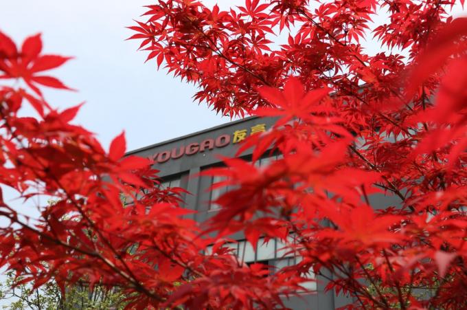 چین Hefei Luox Yougao Technology Co., Ltd. نمایه شرکت 2