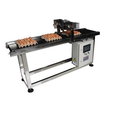 E5 400W X Traverse System Egg Coding Conveyor Machine برای کد گذاری تاریخ