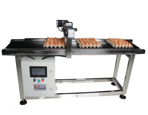 E5 400W X Traverse System Egg Coding Conveyor Machine برای کد گذاری تاریخ